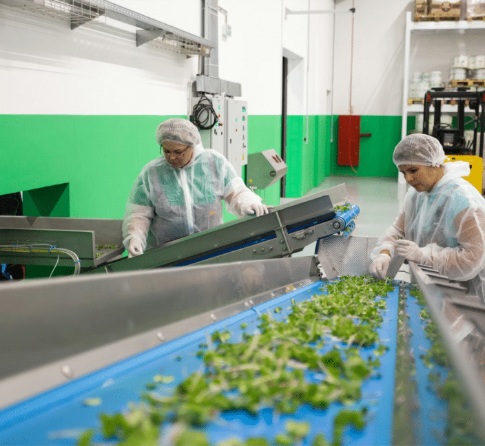 Production line